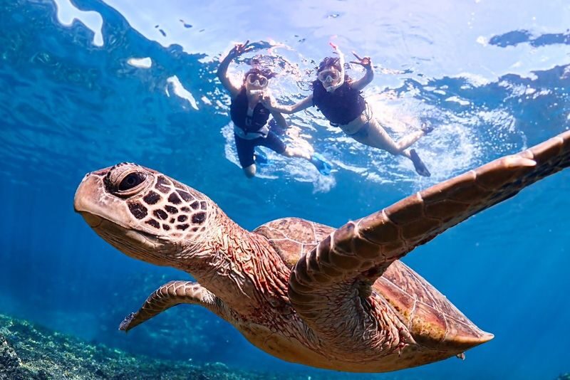 Miyako Island Complete Conquest Plan (SUP x Snorkeling x Caving x Canoe) Experience (Okinawa) - A full day of Miyakojima, not one activity