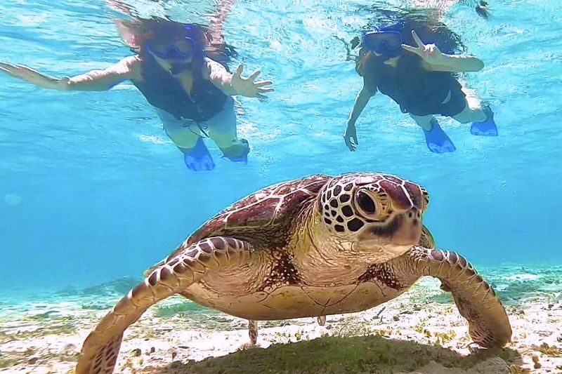 Miyako Island Complete Conquest Plan (SUP x Snorkeling x Caving x Canoe) Experience (Okinawa) - Should you book it?