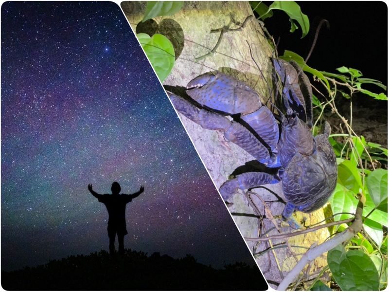 Miyako Island:Exploring the jungle under the stars and at night - What makes this night walk worth considering