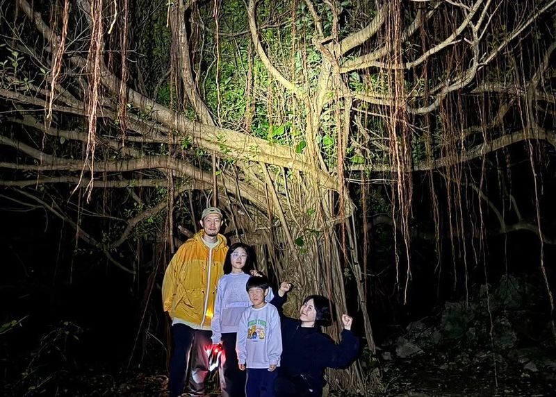 Miyako Island:Exploring the jungle under the stars and at night - A practical evening, with pickup or a meeting point