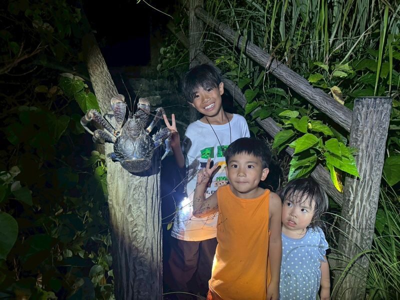 Miyako Island:Exploring the jungle under the stars and at night - Who should book this Miyakojima night tour?