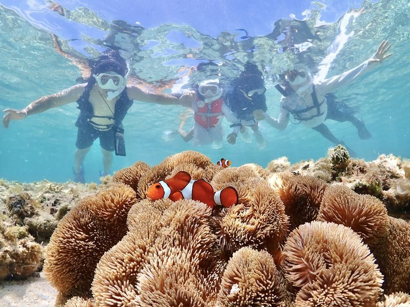 Miyako Island | Outstanding transparency! Snorkeling with sea turtles & Nemo - Why beginners and families may feel at ease
