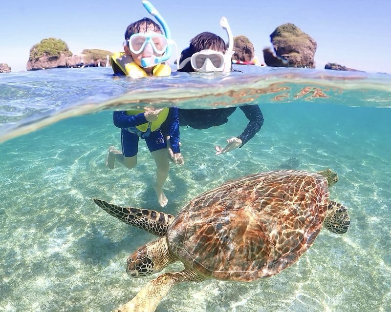 Miyako Island | Outstanding transparency! Snorkeling with sea turtles & Nemo - Should you book it?