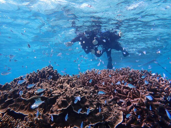 Miyako Island: Pumpkin Limestone Caving & Snorkeling - Guidelines for Participants