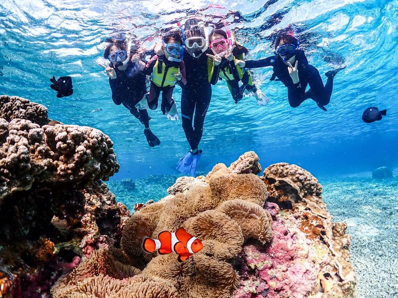 Miyako Island Sea Turtle Snorkeling Half-Day Experience (Okinawa) - Photos are a useful extra, not a reason to expect a private shoot