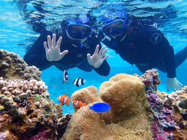 Miyako Island: Sea Turtle Snorkeling Tour - What to Bring