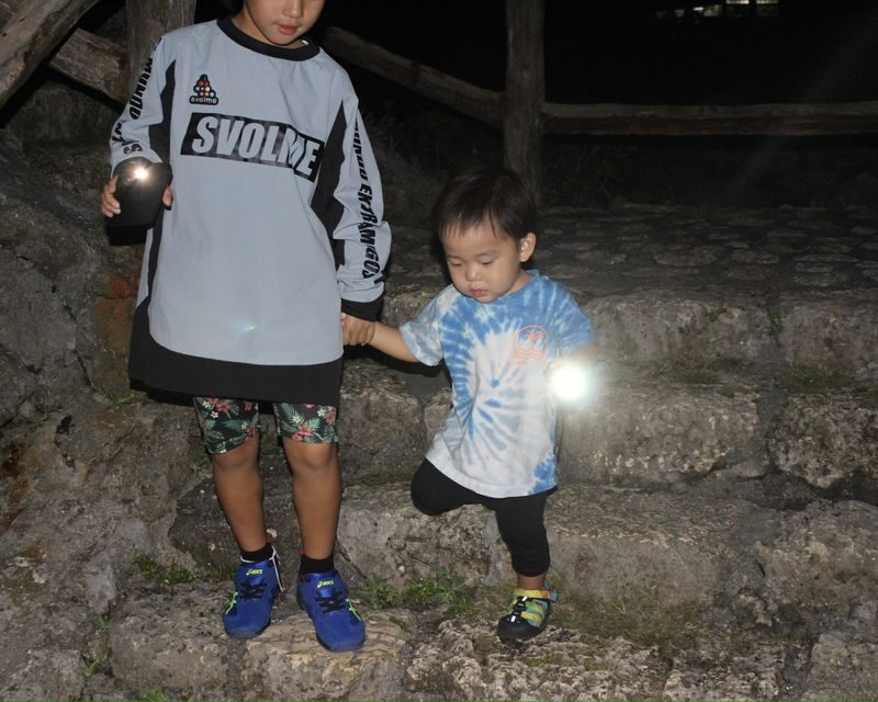 Miyako Island: Stargazing & Tropical Jungle Night Tour - Looking for coconut crabs on Kurima Island