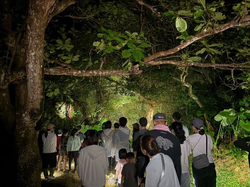 Miyako Island: Stargazing & Tropical Jungle Night Tour - Looking up for stars and the Milky Way