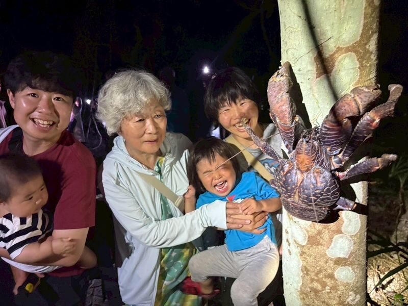 Miyako Island: Stargazing & Tropical Jungle Night Tour - How the 60 to 90 minute outing unfolds