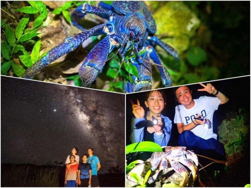 Miyako Island: Stars & Jungle Night Walking Tour - Good To Know