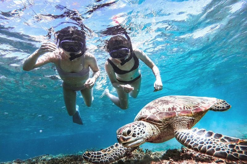 Miyako Island: Swim with Sea Turtles! Snorkeling + Photos - Meeting at Shigira Beach Parking Lot 2