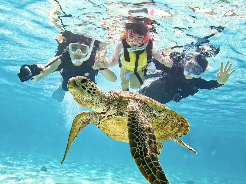 Miyako Island: Swim with Sea Turtles! Snorkeling + Photos - Is $41.09 good value?