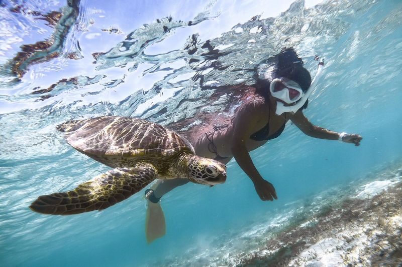 Miyako Island: Swim with Sea Turtles! Snorkeling + Photos - Who should book this snorkel