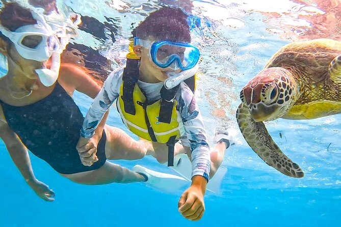 Miyako Two Activities in Half Day SUP and Sea Turtle Snorkeling - Activity Overview