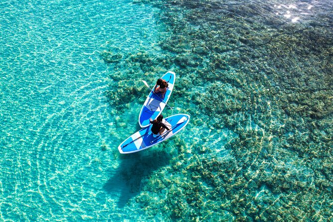 Miyako Two Activities in Half Day SUP and Sea Turtle Snorkeling - Common Questions