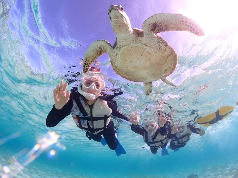 Miyakojima "100% Encounter Rate Continues" [Private Sea Turtle Snorkeling] | Beginners OK, Free Photo Data, Same-Day Booking Available, Pick-up/Drop-off Consultation Available - At a glance