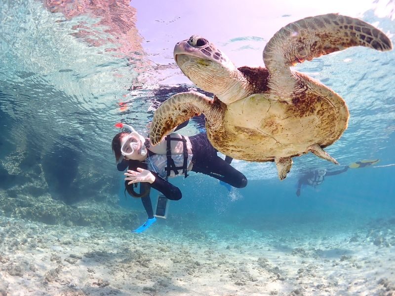Miyakojima "100% Encounter Rate Continues" [Private Sea Turtle Snorkeling] | Beginners OK, Free Photo Data, Same-Day Booking Available, Pick-up/Drop-off Consultation Available - Beach entry keeps the outing simple