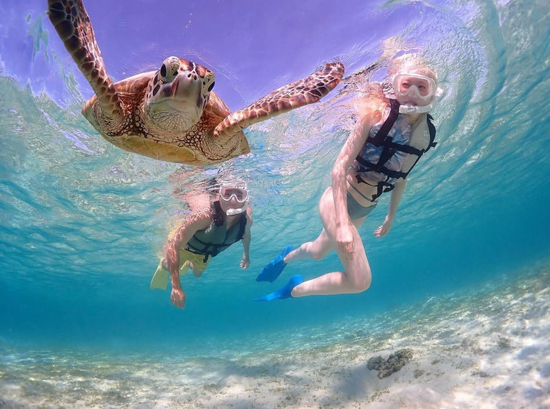 Miyakojima "100% Encounter Rate Continues" [Private Sea Turtle Snorkeling] | Beginners OK, Free Photo Data, Same-Day Booking Available, Pick-up/Drop-off Consultation Available - Should you book this Miyakojima snorkel?