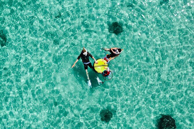 Miyakojima CharteredWith drone photographyClear SUP & Sea Turtle Snorkel TourNo additional chargeFull refund guaranteeFree rental and photography - Why the Free Gear and Photos Matter