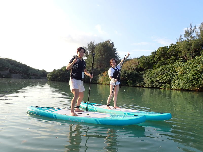 Miyakojima Jungle Mangrove SUP Tour - Paddling through the mangroves