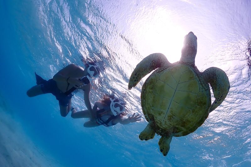 Miyakojima: Private Sea Turtle & Nemo Snorkeling w/Drone - Choosing the right beach for the day