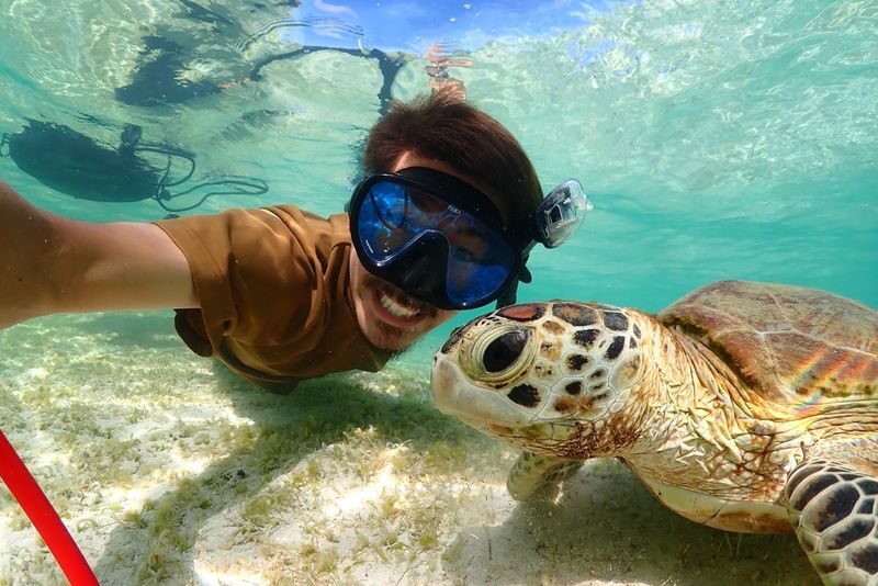 Miyakojima: Private Sea Turtle & Nemo Snorkeling w/Drone - What you may see beneath the surface