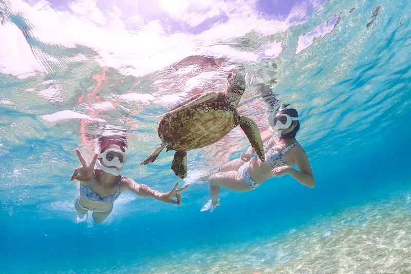 Miyakojima: Private Sea Turtle & Nemo Snorkeling w/Drone - Should you book it?