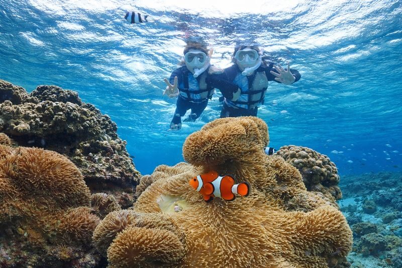 Miyakojima: Small-Group Sea Turtle & Nimo Snorkeling (English tour) - Shigira Beach is the whole point