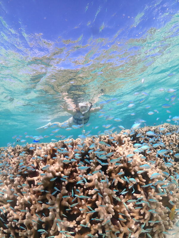 Miyakojima: Small-Group Sea Turtle & Nimo Snorkeling (English tour) - Free photos are more useful than they sound