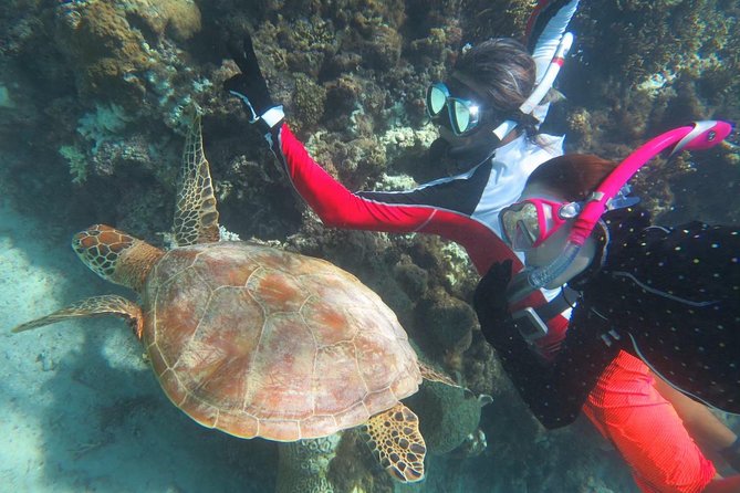 [Miyakojima Snorkel] Private Tour From 2 People Go to Meet Cute Sea Turtle - Accessibility and Health Considerations