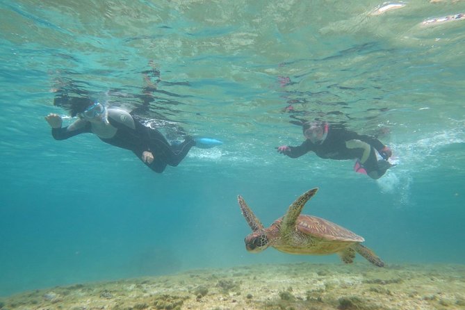 [Miyakojima Snorkel] Private Tour From 2 People Lets Look for Sea Turtles! Snorkel Tour That Can Be - Snorkeling Equipment Provided
