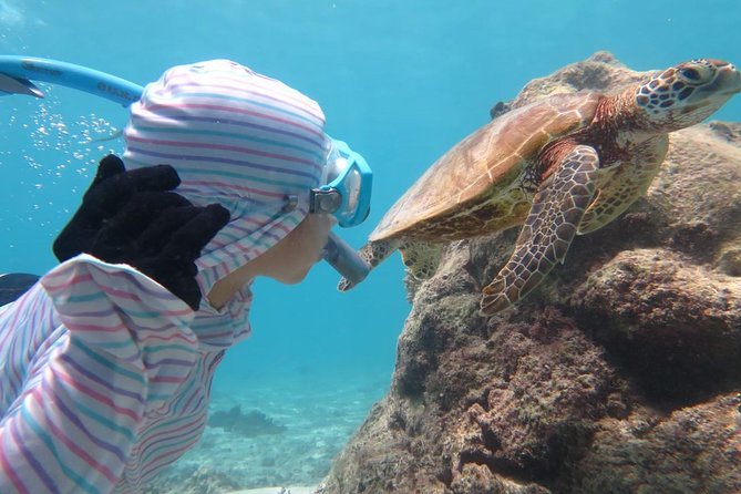 [Miyakojima Snorkel] Private Tour From 2 People Lets Look for Sea Turtles! Snorkel Tour That Can Be - The Sum Up