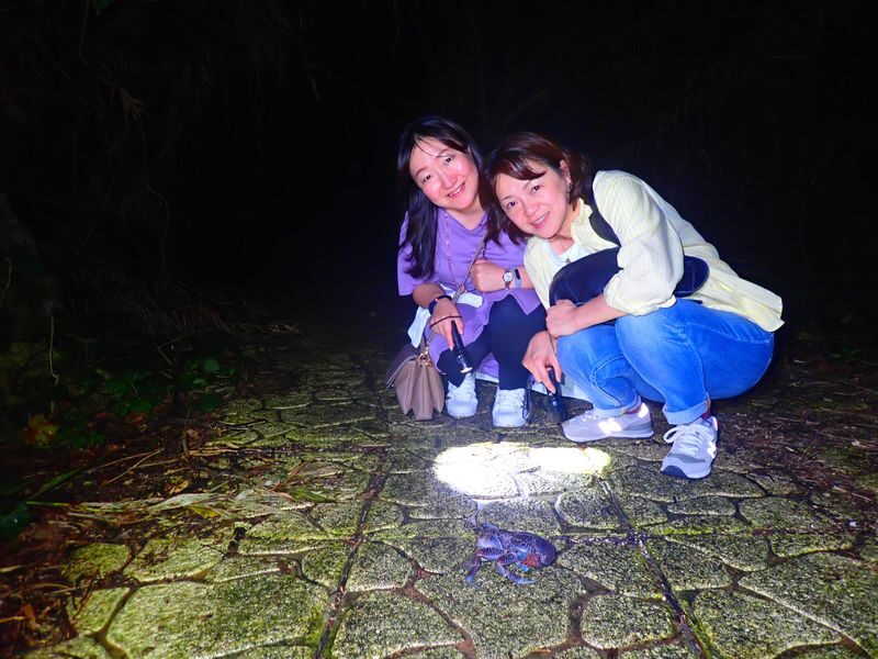 Miyakojima: Stargazing Experience & Jungle Night Tour - Is $29.69 a fair price?