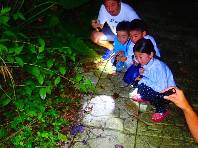 Miyakojima: Stargazing Experience & Jungle Night Tour - Should you book it?