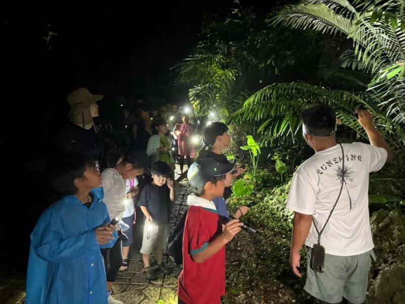 Miyakojima: Starry sky  Jungle Night Tour - Who Will Love This Tour?