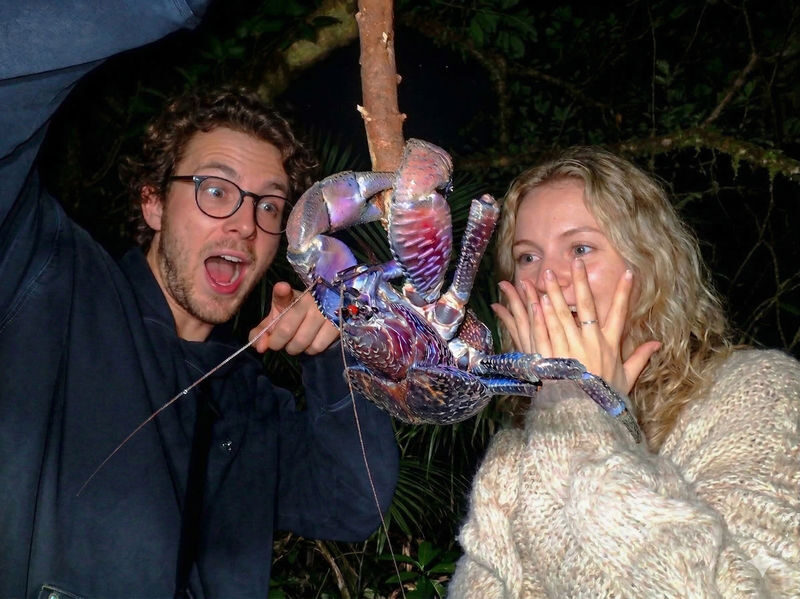 Miyakojima Subtropical Jungle & Stargazing Night Tour (Okinawa) - A night walk, not a guaranteed wildlife show