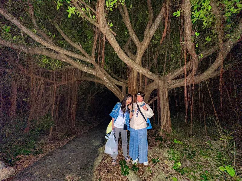 Miyakojima Subtropical Jungle & Stargazing Night Tour (Okinawa) - How the guides shape the evening