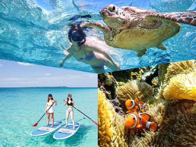 Miyakojima: SUP and Snorkeling- Two Activities in One Day - An In-Depth Look at the Miyakojima SUP & Snorkeling Tour