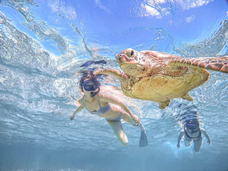 Miyakojima: SUP and Snorkeling- Two Activities in One Day - Good To Know