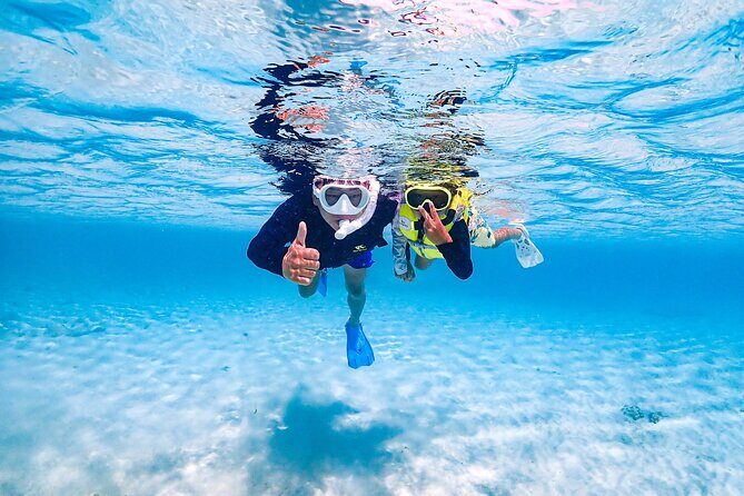 Miyakojima:SnorkelingPick-up OKsea turtles & Fish and coral - Practical Tips & Considerations