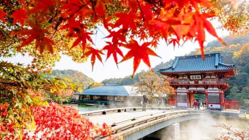 Miyama Thatched Village & Katsuoji Temple & Arashiyama Bamboo Forest Path & Nonomiya Shrine Day Trip | Departing from Osaka - A shared coach saves the long-distance planning