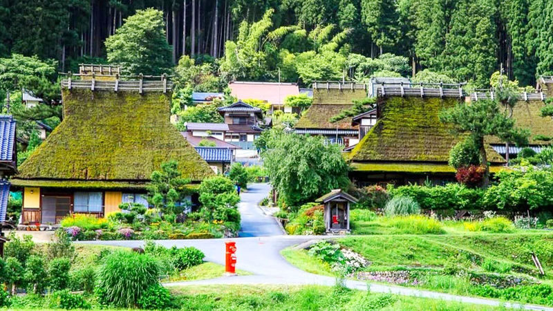 Miyama Thatched Village & Katsuoji Temple & Arashiyama Bamboo Forest Path & Nonomiya Shrine Day Trip | Departing from Osaka - Is $44.89 good value?