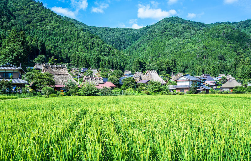 Miyama Thatched Village & Katsuoji Temple & Arashiyama Bamboo Forest Path & Nonomiya Shrine Day Trip | Departing from Osaka - Who should book this day trip?