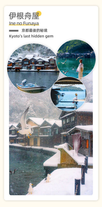 Miyama village illumination & Amanohashidate bus tour (with Japanese dessert making experience) - Guides, group size and the practical details