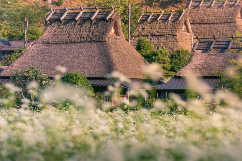 Miyama Village&Amanohashidate&Ine no Funaya Day Tour - Practical Considerations  