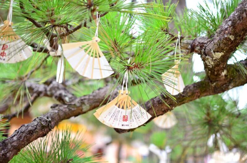 Miyama Village&Amanohashidate&Ine no Funaya Day Tour - Final Thoughts  