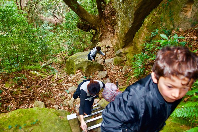 Miyazaki Hiking Tour  - Kyushu - Important Information