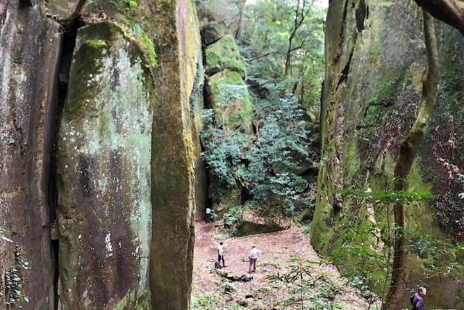Miyazaki Hiking Tour  - Kyushu - Common Questions