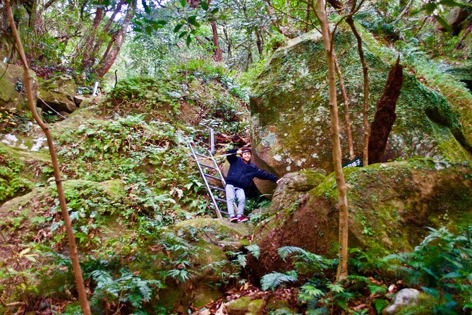 Miyazaki Hiking Tour  - Kyushu - The Sum Up