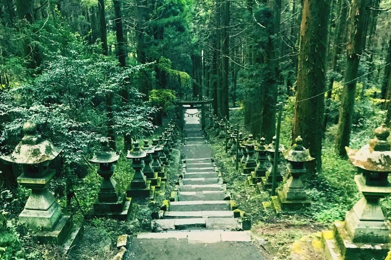 Miyazaki Kumamoto Exploration Tour | Kamishikimi Kumanoza Shrine, Amanoiwato, Takachiho Gorge, Mount Aso, Kurokawa Onsen Day Trip | Departing from Fukuoka - Kamishikimi Kumanoza Shrine’s lantern path